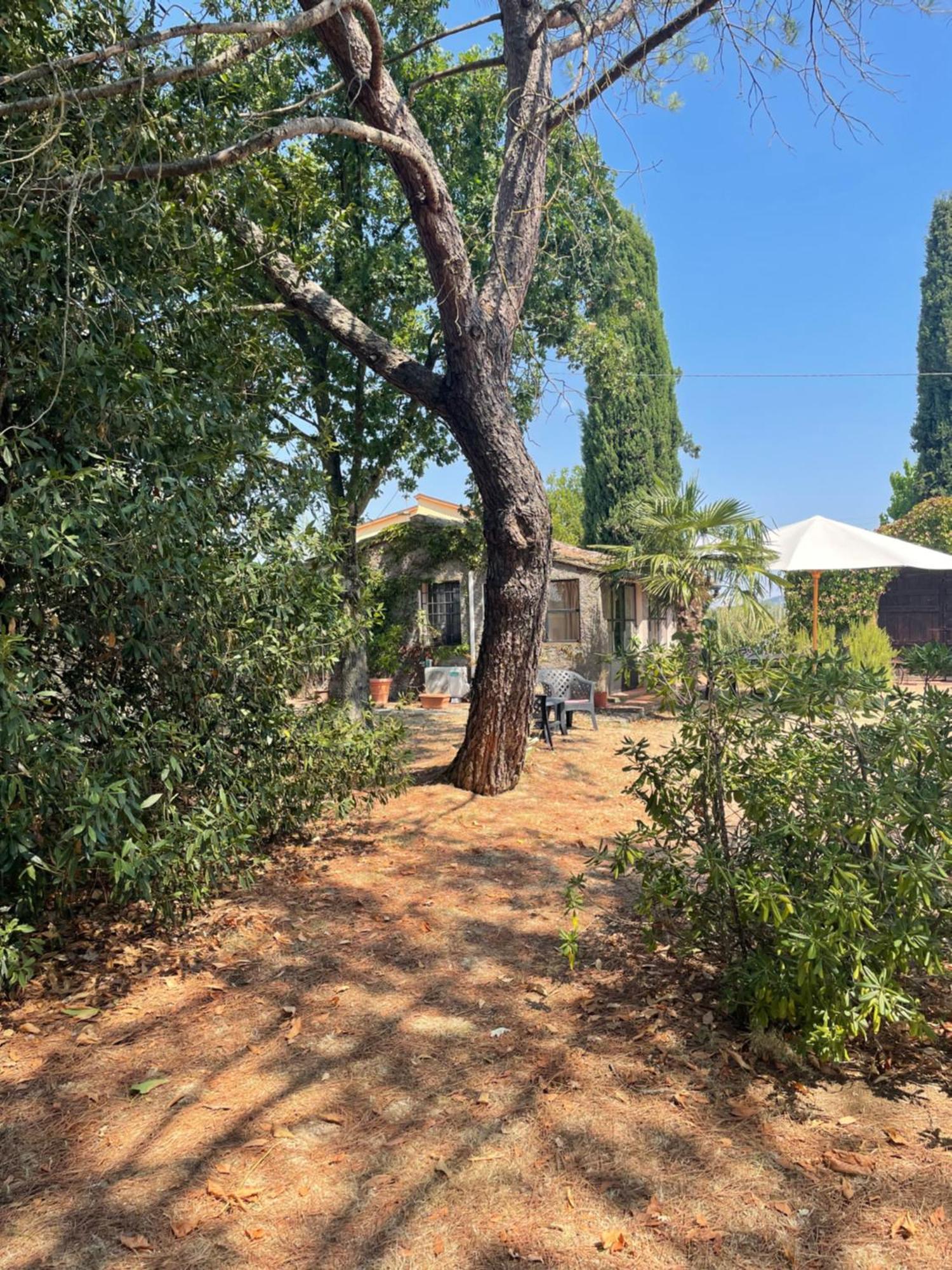La Selva Lejlighed Arezzo Eksteriør billede